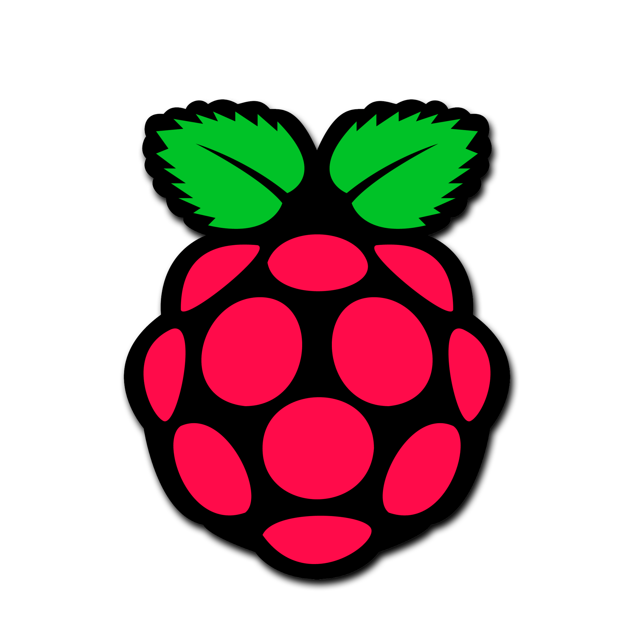 Raspberry PI